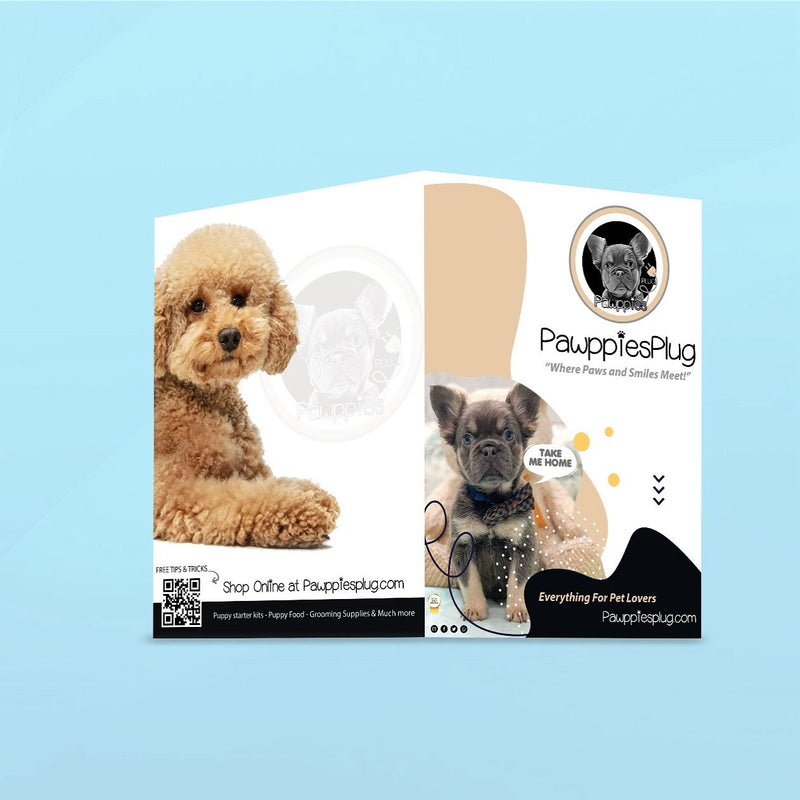 Folder Design